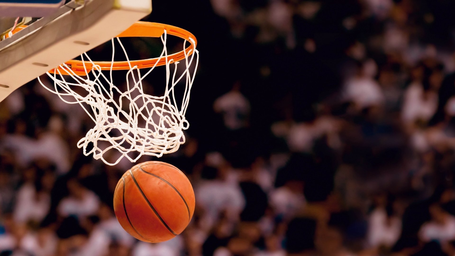 NBA的“绿色行动”故事：环保背后的动人细节，绿色环保行动有哪些具体内容